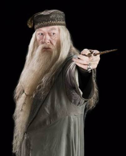 Albus Dumbledore Uniform